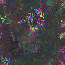 World at epoch 79000