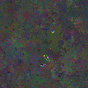 World at epoch 117000