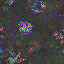 World at epoch 80000