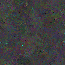 World at epoch 80000