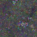 World at epoch 110000