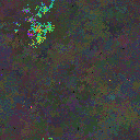 World at epoch 160000