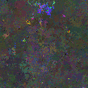 World at epoch 95000