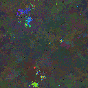 World at epoch 97000