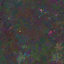 World at epoch 115000