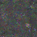 World at epoch 137000