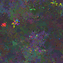 World at epoch 117000