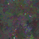 World at epoch 125000