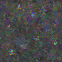 World at epoch 159000
