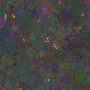 World at epoch 136000