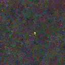 World at epoch 155000