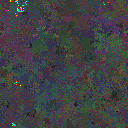 World at epoch 135000