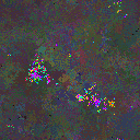 World at epoch 156000