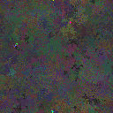 World at epoch 155000