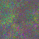 World at epoch 25000