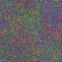 World at epoch 25000