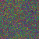 World at epoch 50000