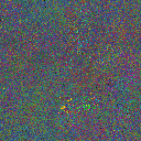 World at epoch 75000