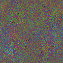 World at epoch 70000