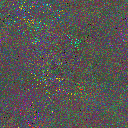 World at epoch 80000