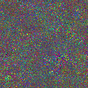 World at epoch 75000