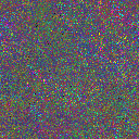 World at epoch 40000