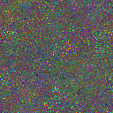 World at epoch 115000