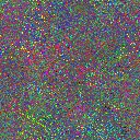World at epoch 50000