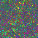 World at epoch 65000