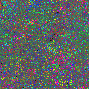 World at epoch 75000