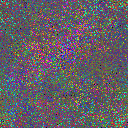 World at epoch 65000