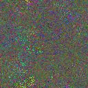 World at epoch 25000