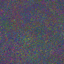 World at epoch 115000