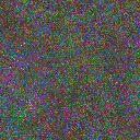 World at epoch 25000