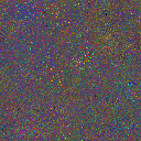 World at epoch 25000