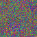 World at epoch 65000