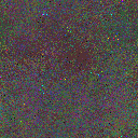 World at epoch 60000