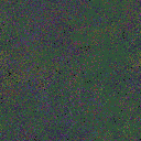 World at epoch 65000