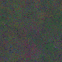 World at epoch 95000