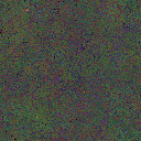 World at epoch 105000