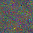 World at epoch 65000