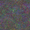 World at epoch 115000