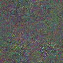 World at epoch 50000