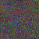 World at epoch 85000
