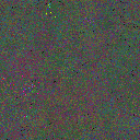 World at epoch 65000