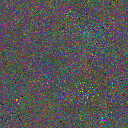 World at epoch 75000