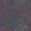 World at epoch 25000