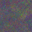 World at epoch 75000