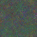 World at epoch 95000