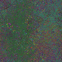 World at epoch 65000